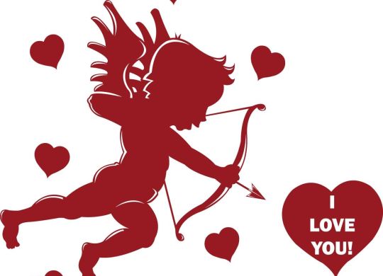 il_fullxfull.54339351