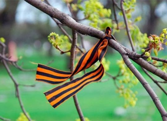 d06cdd07fc3e8cdc6336abe11c668253_XL