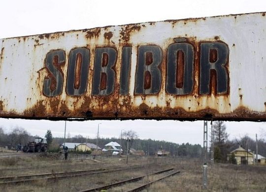 15233931615acd228955dc74.37918812