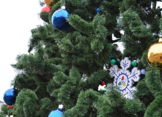 tn_235557_b774c487bcaf