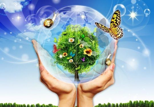 B06E44A2-BC6B-4818-9576-14CA073FBBB5