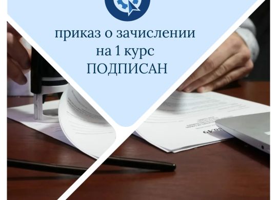 Изображение WhatsApp 2024-08-16 в 17.54.42_fa999819